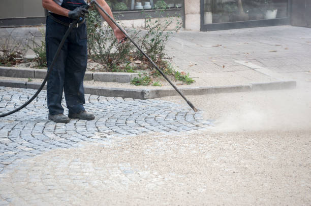 Best Roof Washing  in Dogtown, CA